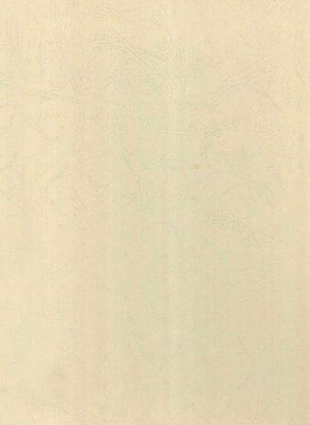 郴州年鉴2008.pdf电子版_湖南省志预览图1