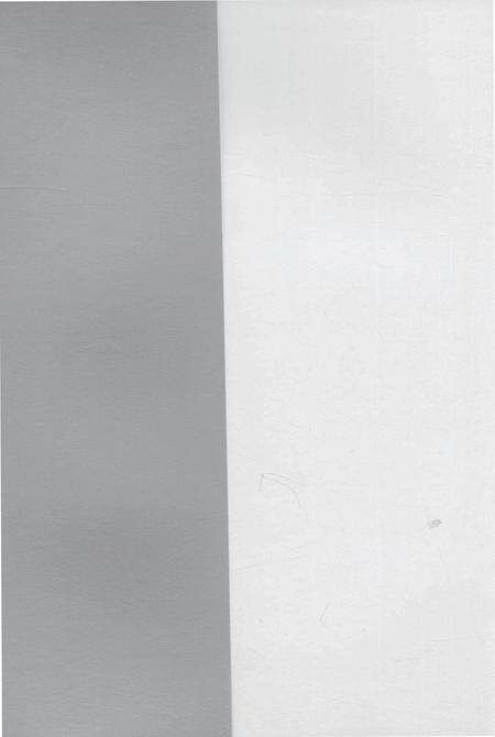 驰骋四海资兴人.pdf电子版_湖南省志预览图1