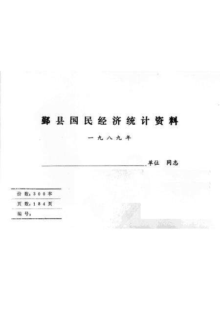 -鄞县国民经济统计资料  1989.pdf电子版_浙江省志预览图1