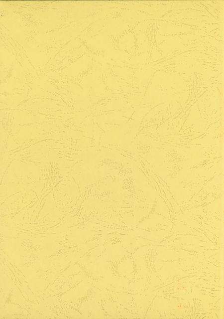 静宁建筑集团第四分公司志.pdf电子版_甘肃省志预览图1