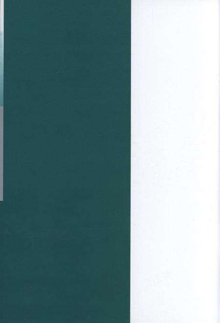2008年防城港市发展研究报告.pdf电子版_广西壮族自治区志预览图1