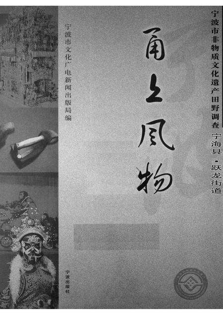 2008-甬上风物：宁波市非物质文化遗产田野调查  宁海县·跃龙镇.pdf电子版_浙江省志预览图1