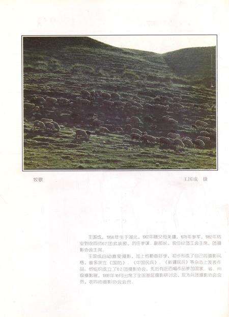 新疆绿洲1999年第01期.pdf电子版_新疆维吾尔族自治区志预览图1