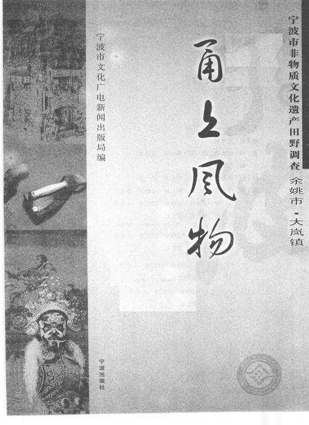 2010-甬上风物  宁波市非物质文化遗产田野调查  余姚市·大岚镇.pdf电子版_浙江省志预览图1