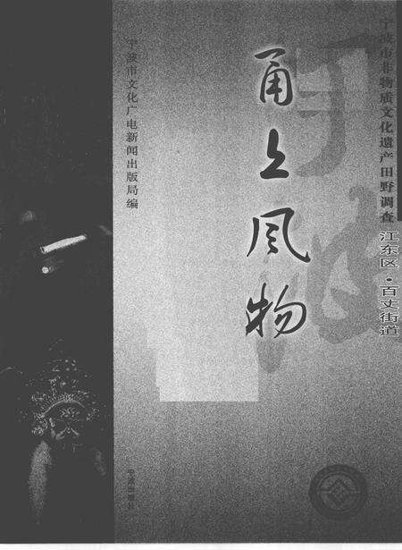 2010-甬上风物  宁波市非物质文化遗产田野调查  江东区·百丈街道.pdf电子版_浙江省志预览图1