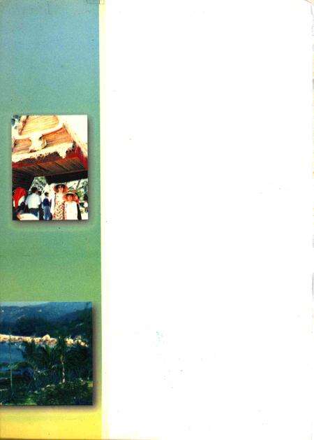 三亚大观.pdf电子版_海南省志预览图1