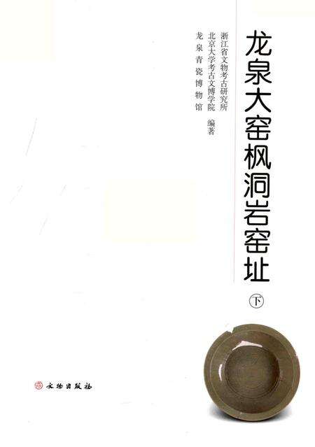 2015-龙泉大窑枫洞岩窑址  下.pdf电子版_浙江省志预览图1