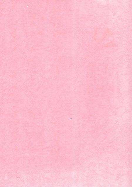 中国共产党临武历史1921～1949（评审稿）.pdf电子版_湖南省志预览图1