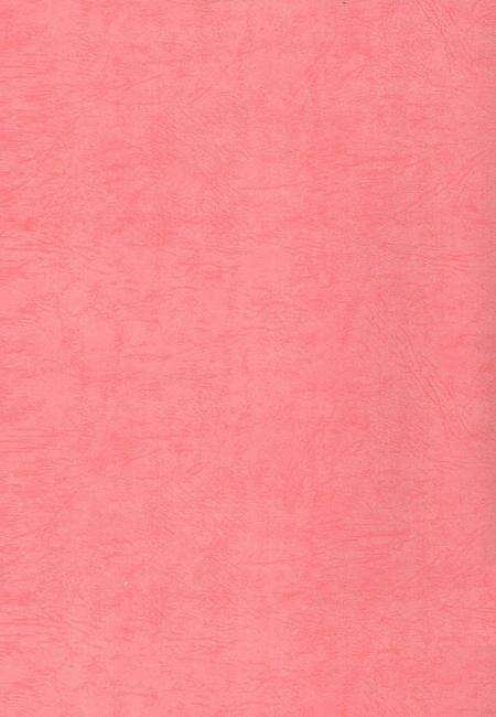 中国共产党临武历史第二卷（1949—1978）.pdf电子版_湖南省志预览图1