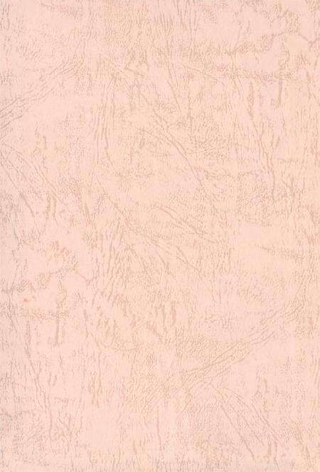 中国共产党湘潭历次代表大会资料简介.pdf电子版_湖南省志预览图1