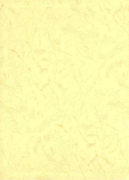 九江年鉴.2005.pdf电子版_江西省志预览图1