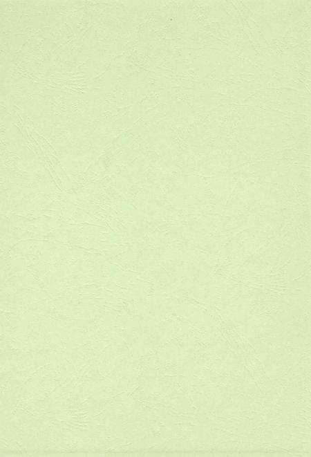 九江年鉴2009.pdf电子版_江西省志预览图1