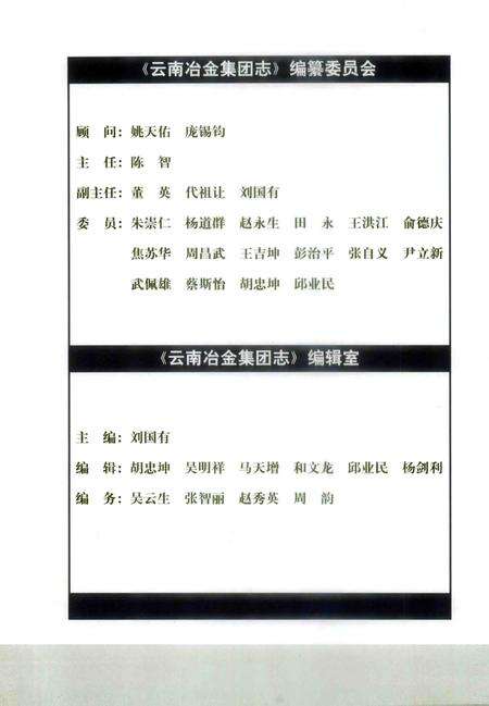 云南冶金集团志  1983-2003年.pdf电子版_云南省志预览图2