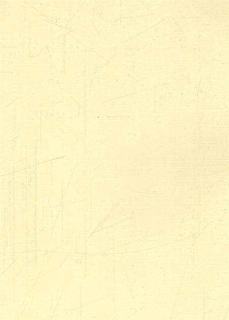 井店镇志.pdf电子版_河北省志预览图2