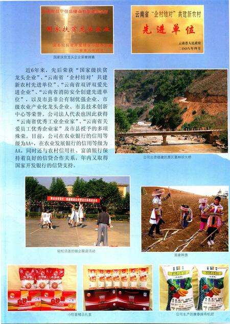 保山年鉴2009.pdf电子版_云南省志预览图2