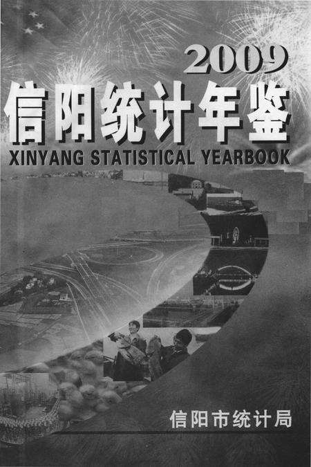 信阳统计年鉴2009.pdf电子版_河南省志预览图2