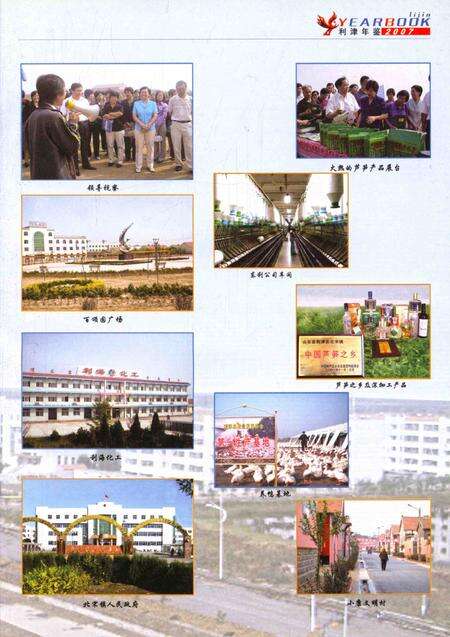 利津年鉴2007.pdf电子版_山东省志预览图2