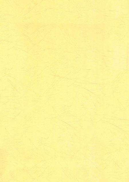 北湖区军事志（1840-2005）.pdf电子版_湖南省志预览图2