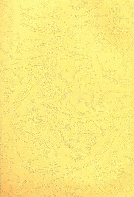 北湖年鉴 (2011).pdf电子版_湖南省志预览图2