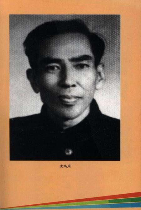 十万大山忠诚儿子–沈鸿周.pdf电子版_广西壮族自治区志预览图2