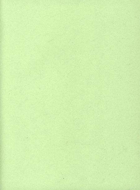 华龙年鉴2013.pdf电子版_四川省志预览图2