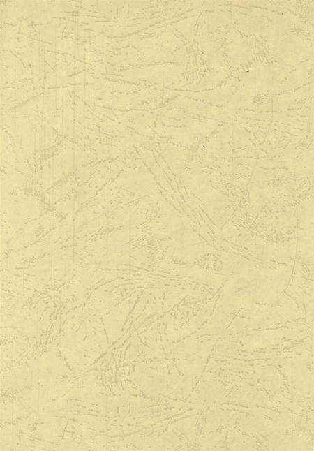 卫东年鉴2008.pdf电子版_河南省志预览图2