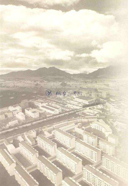 只楚村史.pdf电子版_山东省志预览图2