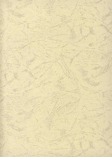 台前年鉴2008.pdf电子版_河南省志预览图2