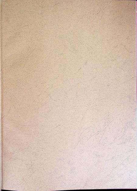 吉林画报特刊辉煌吉林（1949.10.1–2009.10.1）.pdf电子版_吉林省志预览图2