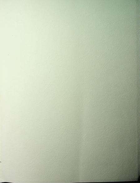 和龙年鉴（2013.12）.pdf电子版_吉林省志预览图2