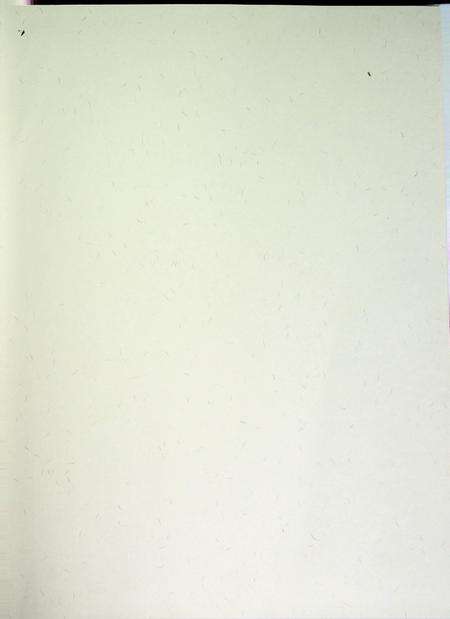 和龙年鉴（2015）.pdf电子版_吉林省志预览图2