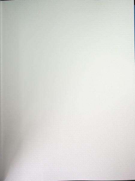 和龙年鉴（2021）.pdf电子版_吉林省志预览图2