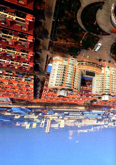 大宗村志.pdf电子版_山东省志预览图2