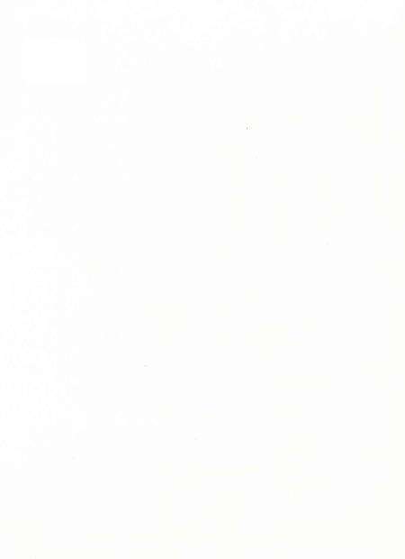 安溪县志（1991-2007）上册.pdf电子版_福建省志预览图2