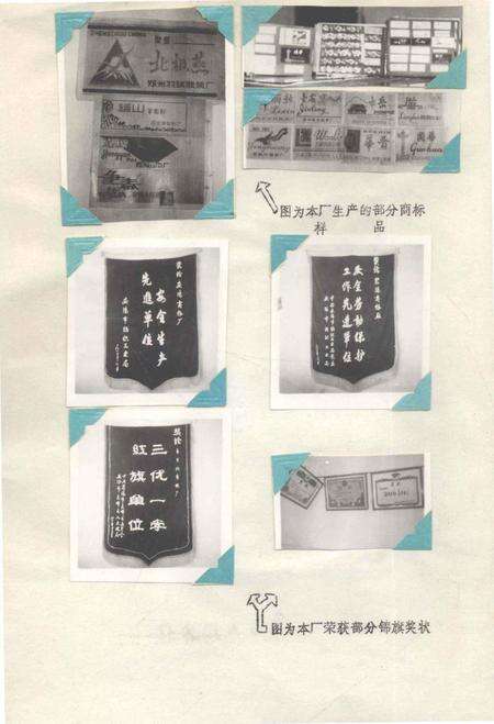 安阳丝织商标厂厂志.pdf电子版_河南省志预览图2