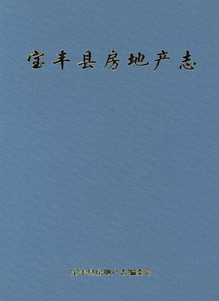 宝丰县房地产志.pdf电子版_河南省志预览图2