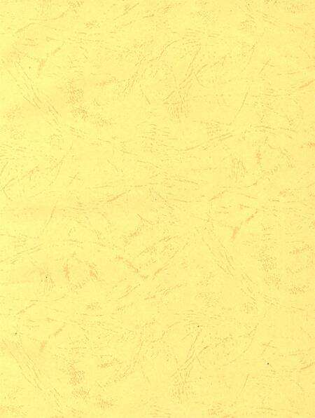 宝丰县政协志（1949～2010年）.pdf电子版_河南省志预览图2