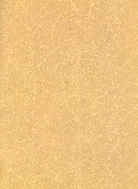 岳阳年鉴（2004）.pdf电子版_四川省志预览图2