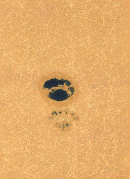 岳阳年鉴（2005）.pdf电子版_四川省志预览图2