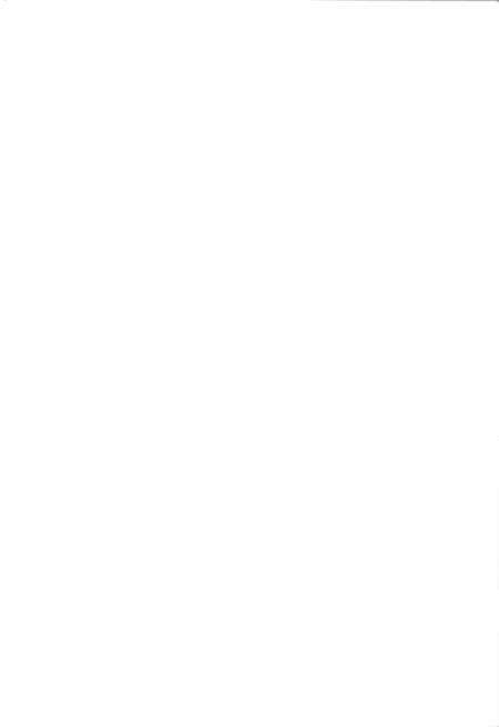 崖县知青史料专辑.下册.pdf电子版_海南省志预览图2