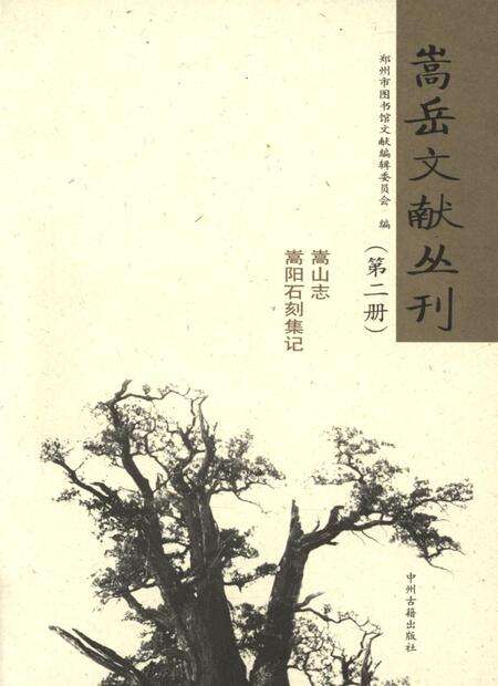 嵩岳文献丛刊（第三册）.pdf电子版_河南省志预览图2
