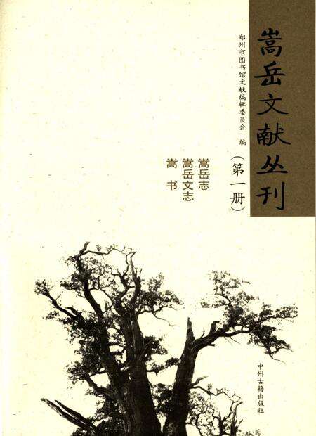 嵩岳文献丛刊（第二册）.pdf电子版_河南省志预览图2
