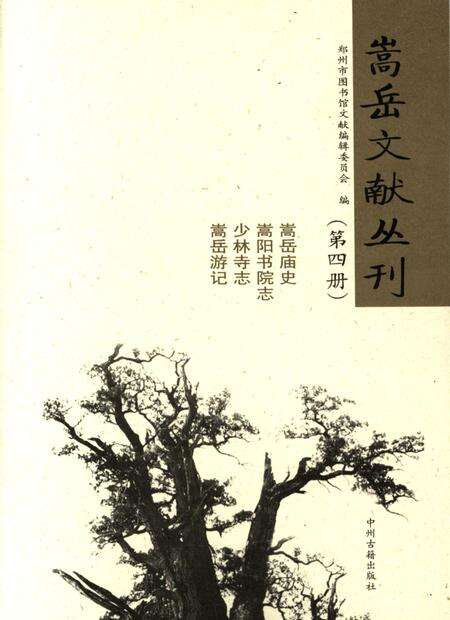 嵩岳文献丛刊（第四册）.pdf电子版_河南省志预览图2