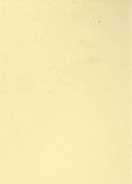 平顶山市新华区年鉴（2014）.pdf电子版_河南省志预览图2