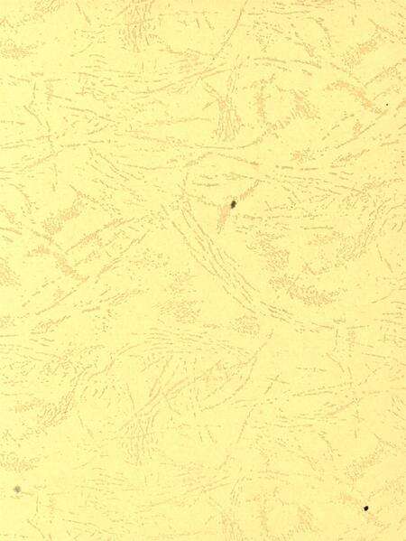 平顶山市精神文明建设年鉴（2006）.pdf电子版_河南省志预览图2