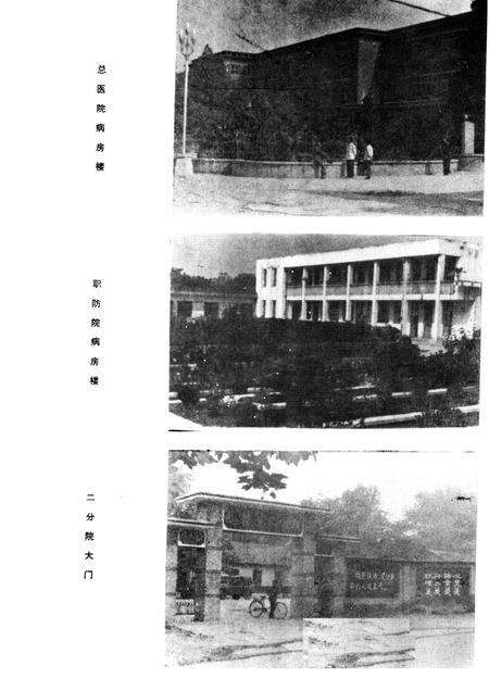 平顶山矿务局总医院志  1954-1985.pdf电子版_河南省志预览图2
