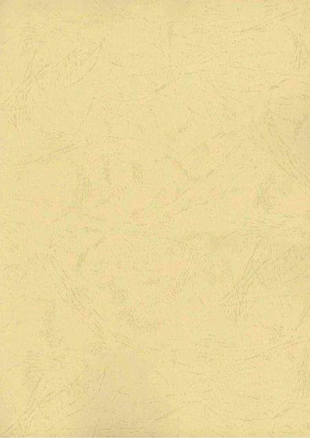 广饶县电业志.pdf电子版_山东省志预览图2