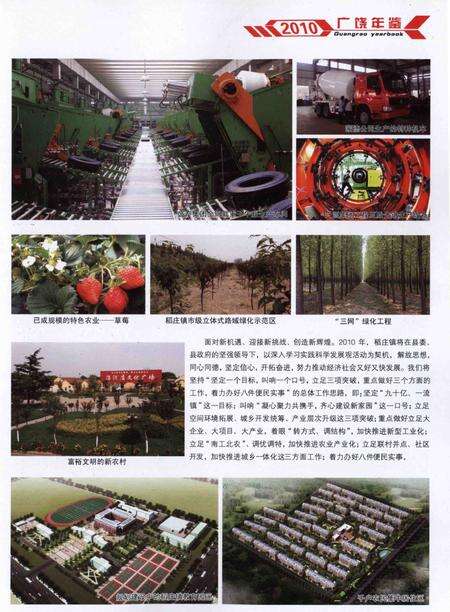 广饶年鉴.2010卷.pdf电子版_山东省志预览图2