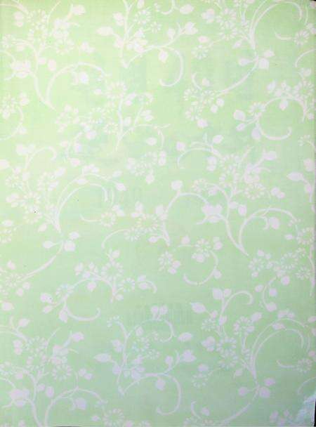 延边四十年.pdf电子版_吉林省志预览图2