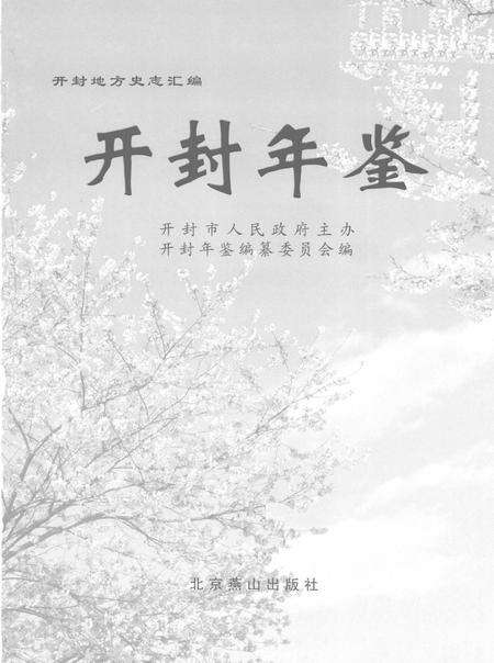 开封年鉴 2006.pdf电子版_河南省志预览图2